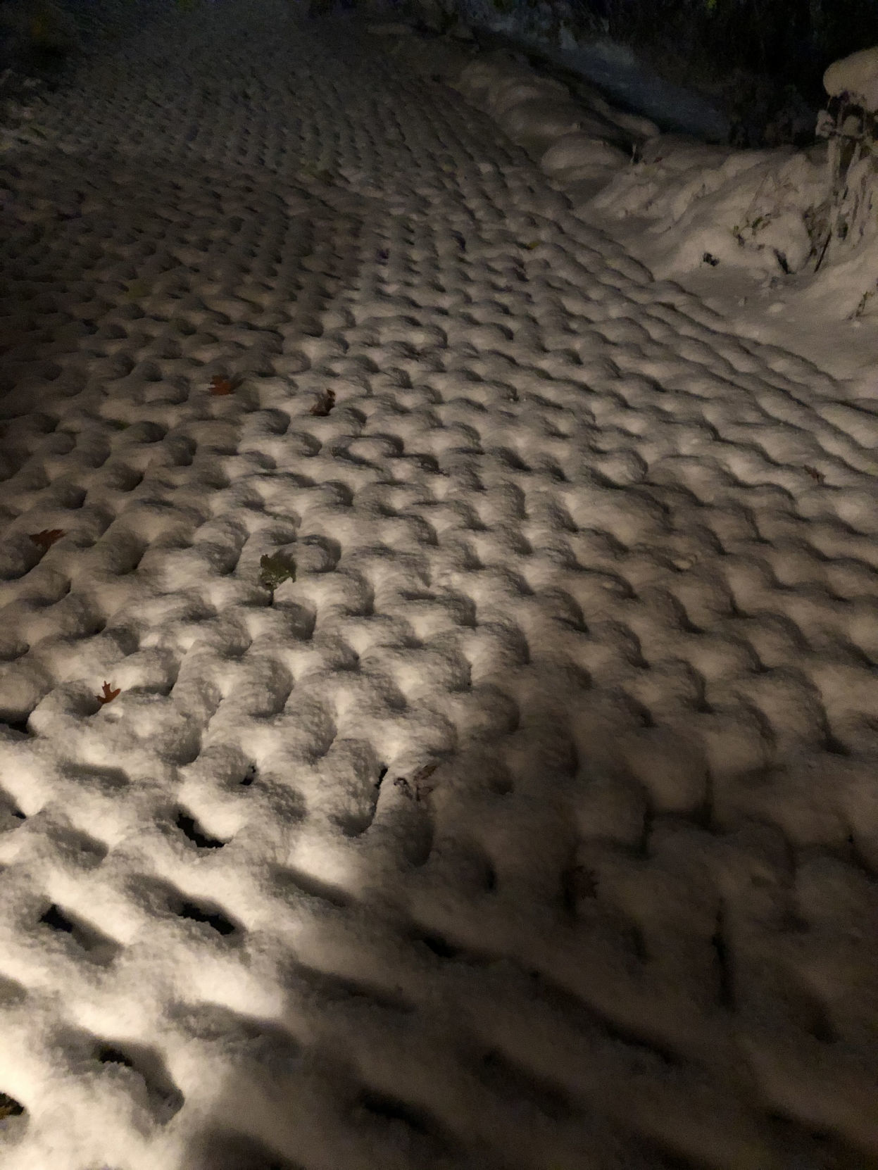 snow pattern.jpg